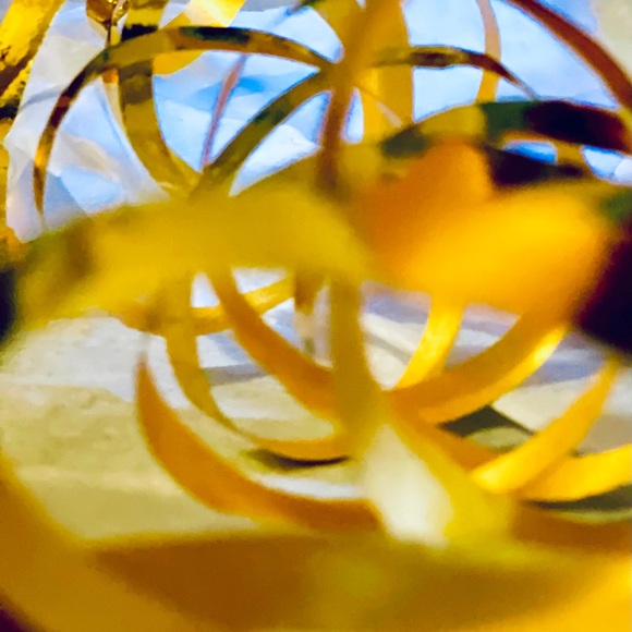 Meet your Posher, Kertis - Picture 3 of 10